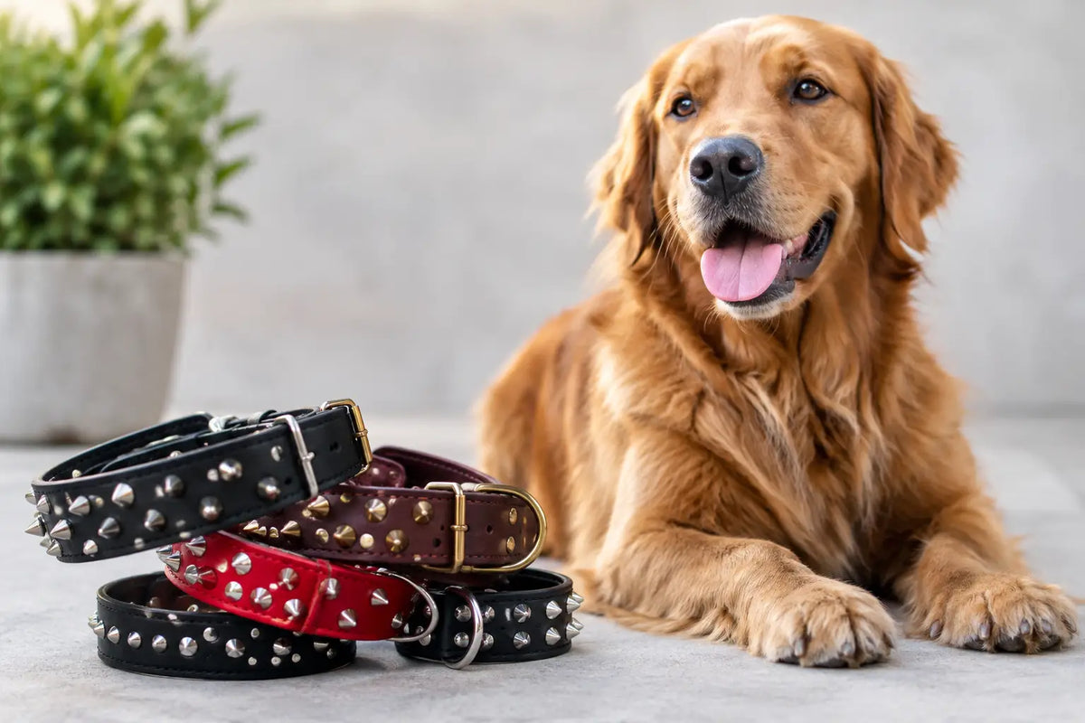How to Choose a Studded Dog Collar That Lasts