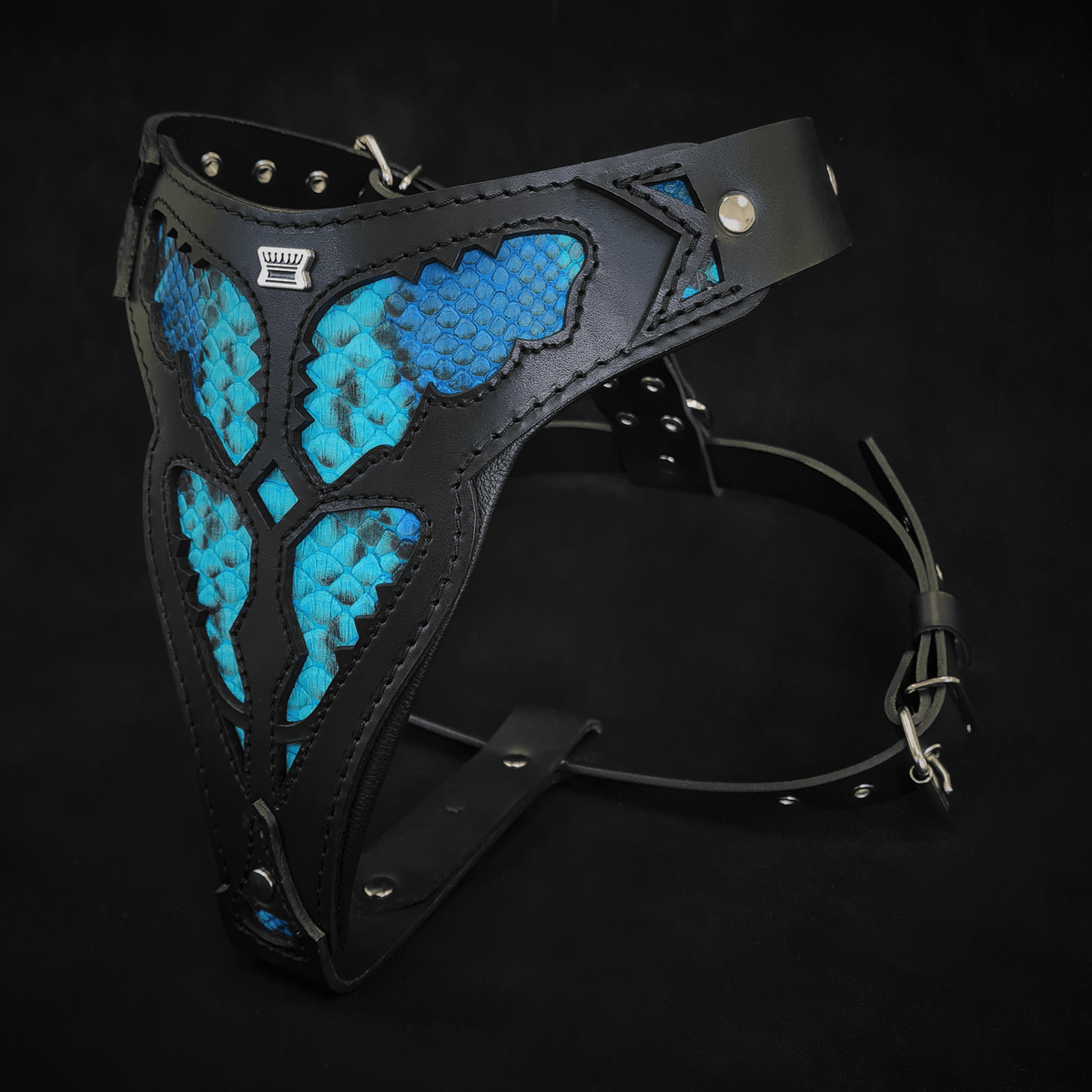Morelia Python Leather Dog Harness – Black & Teal