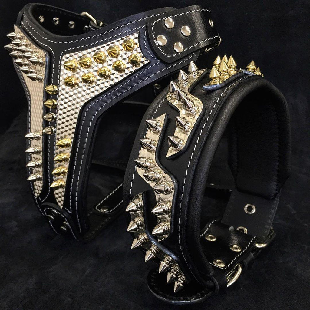 Luxury Leather Dog Collar – Platinum Style