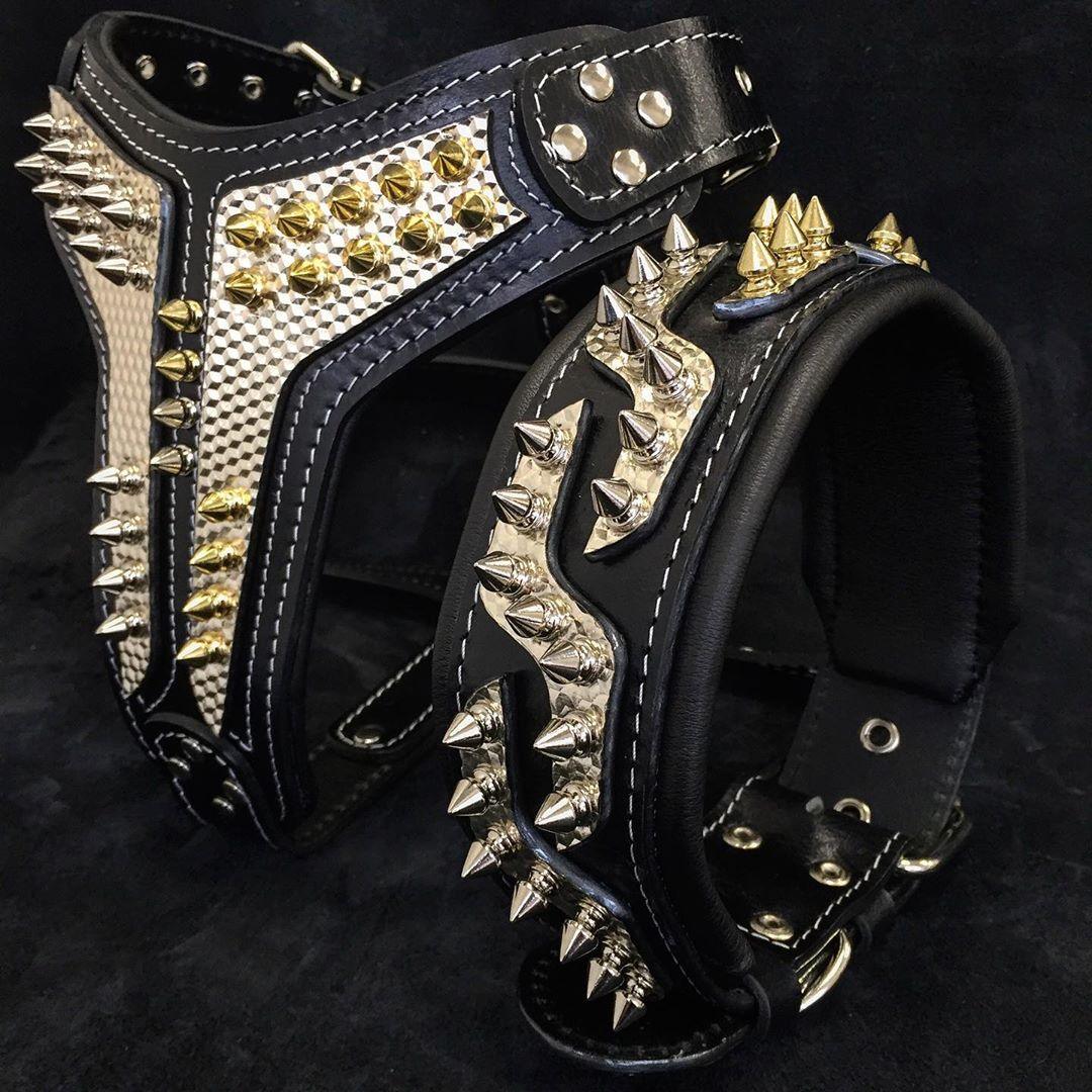 Luxury Leather Dog Collar – Platinum Style