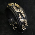Luxury Leather Dog Collar – Platinum Style