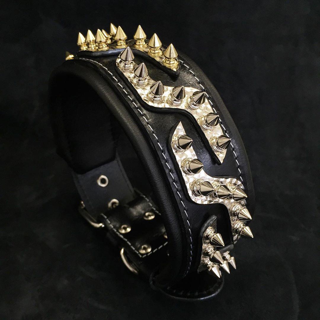Luxury Leather Dog Collar – Platinum Style