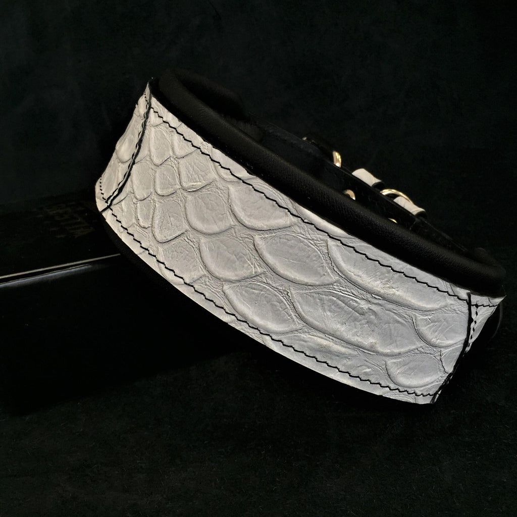 Leather Dog Collar – Dragon Scale, Limited Edition