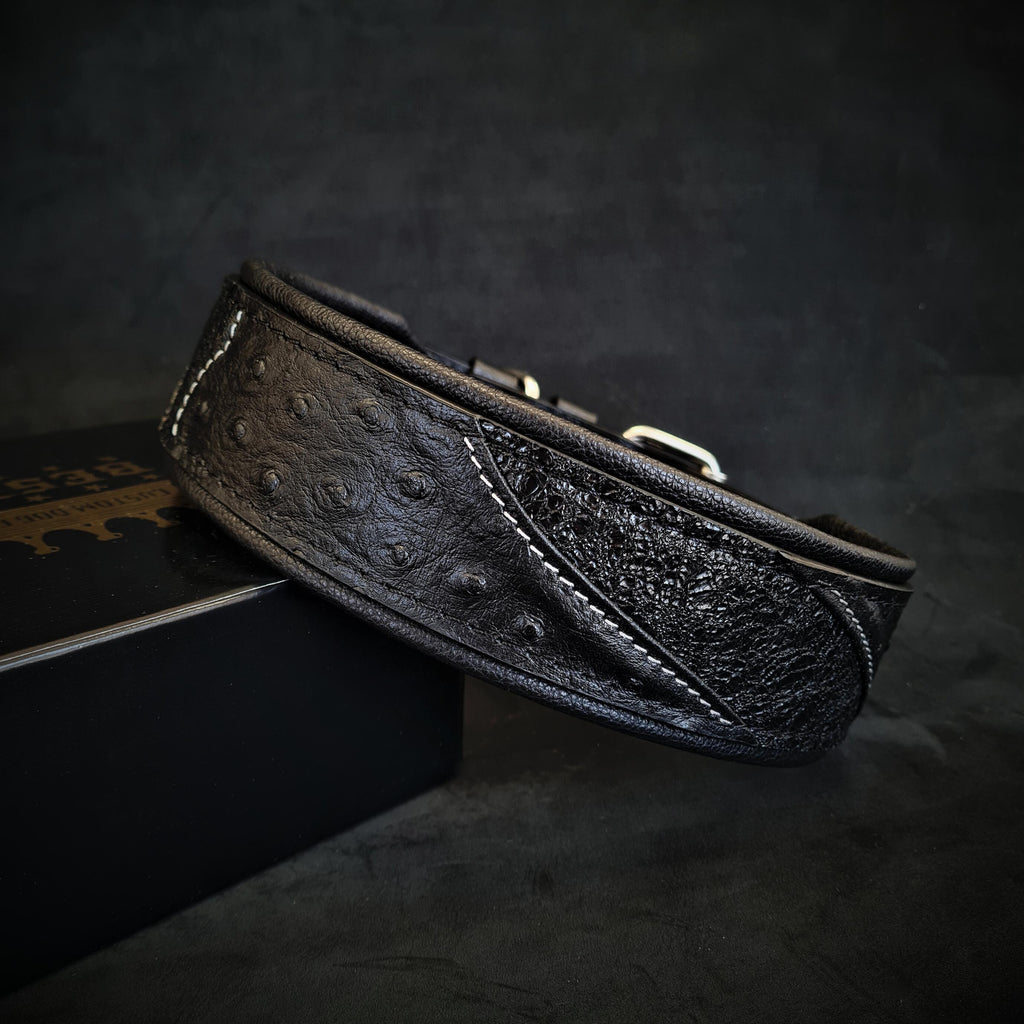 Glitter Leather Dog Collar – Korona, Black Edition
