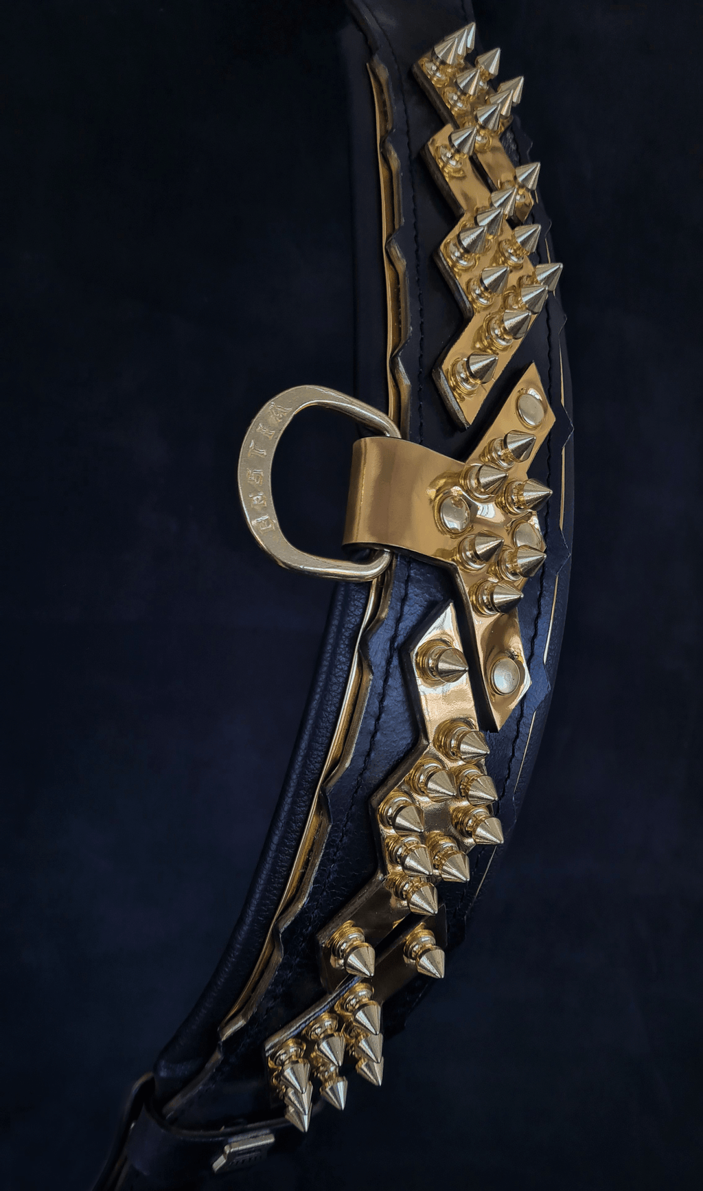 Spiked Leather Dog Collar – Midas, Gold Hardware