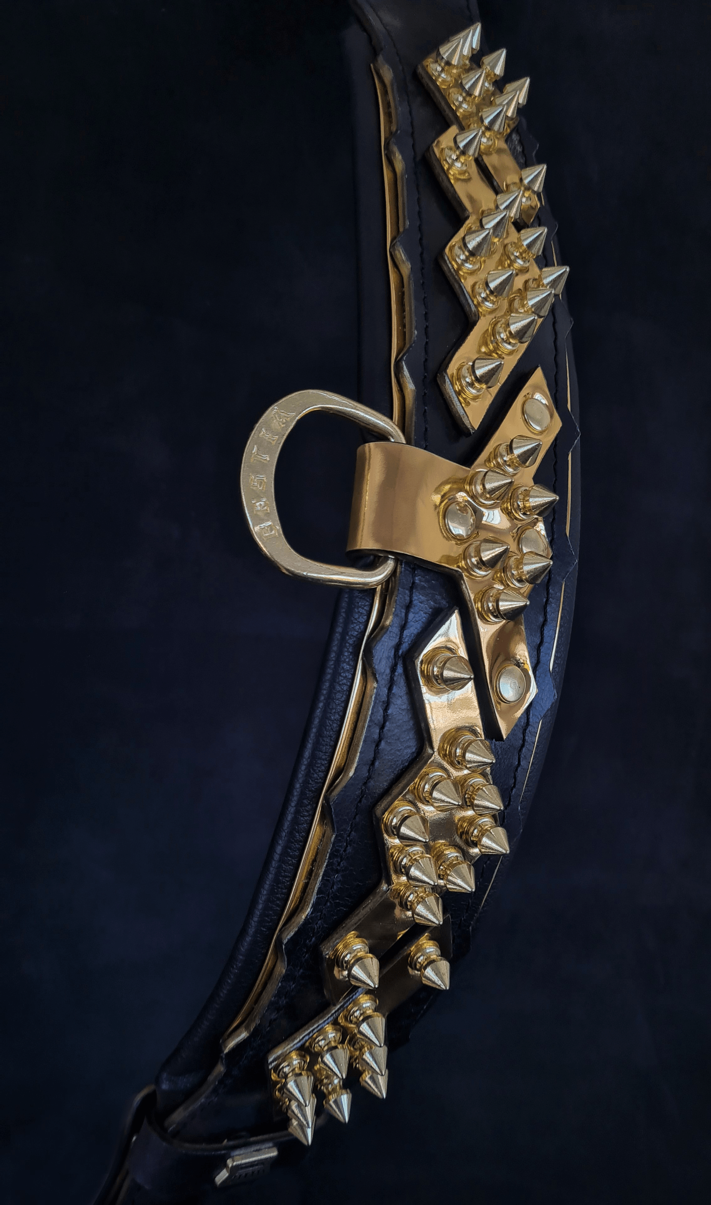 Spiked Leather Dog Collar – Midas, Gold Hardware