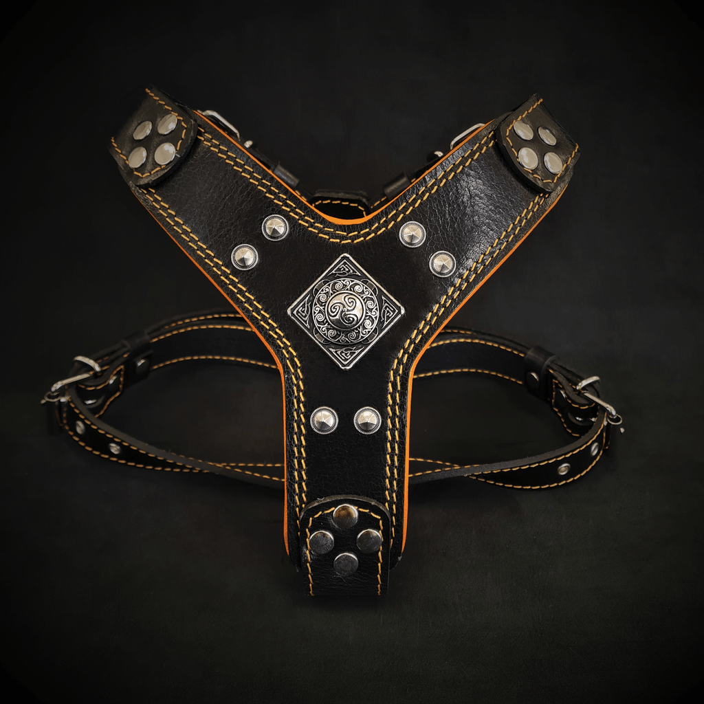 "Eros" Handmade Leather Dog Harness – Black & Orange | S & M | by Bestia Dog Gear