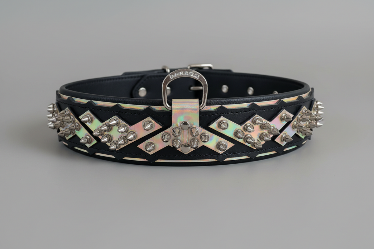 Leather Dog Collar – Midas, Black & Silver Spiked