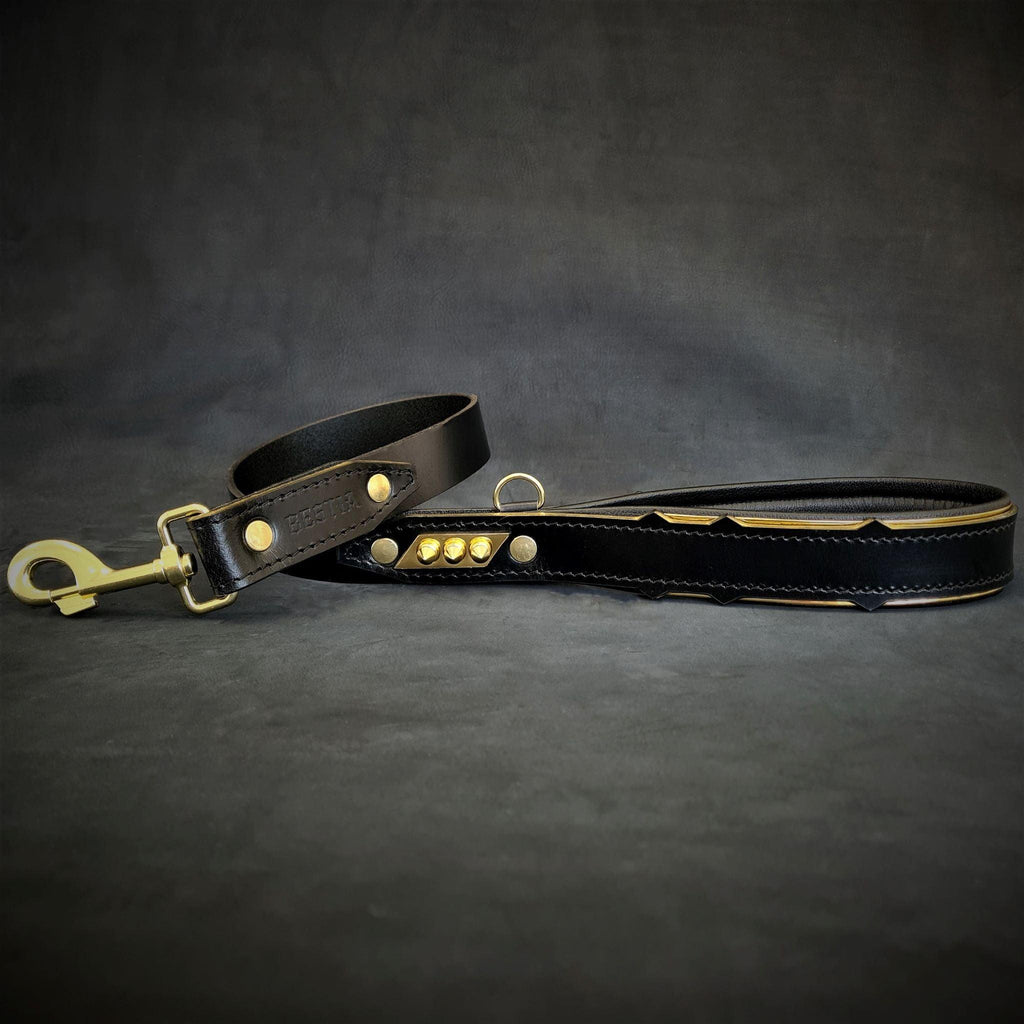 Spiked Leather Dog Collar – Midas, Gold Hardware