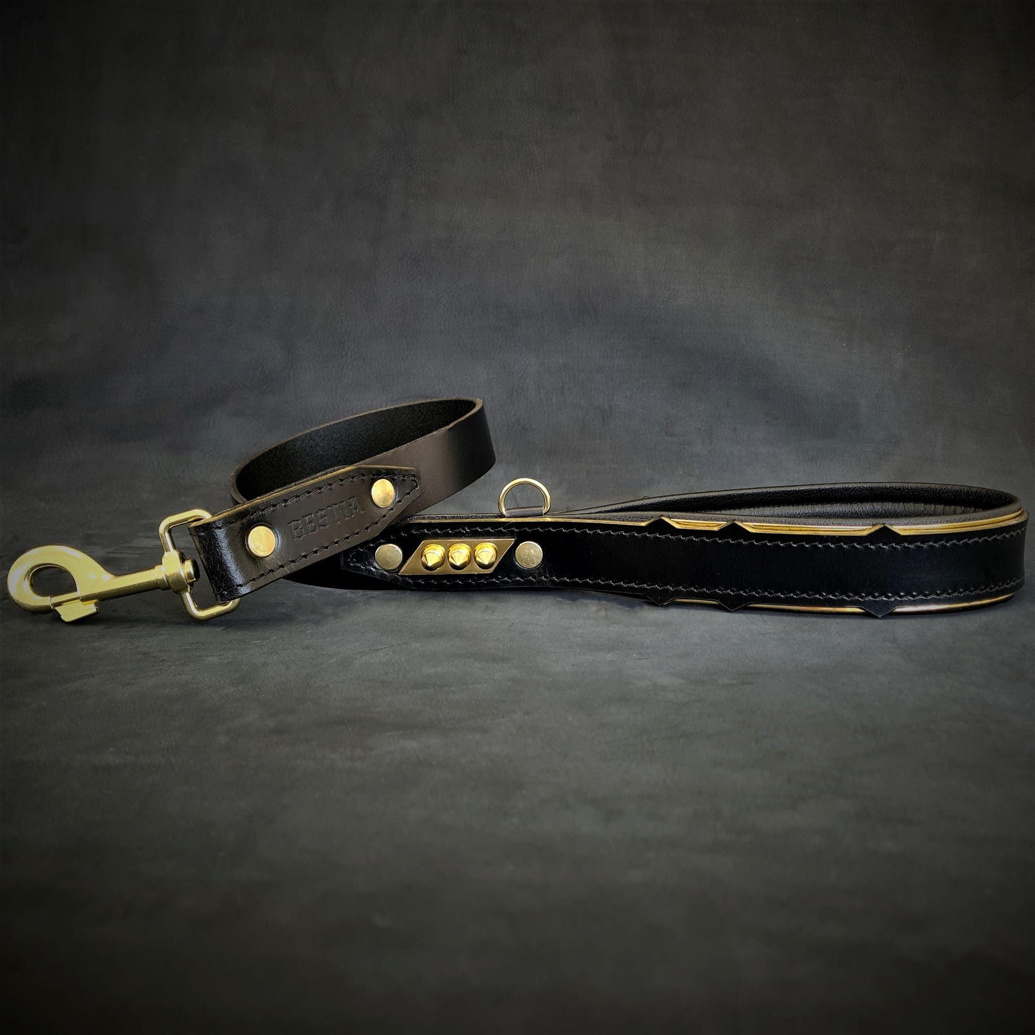 Spiked Leather Dog Collar – Midas, Gold Hardware