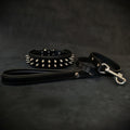 Leather Dog Collar & Leash Set – Frenchie, Black