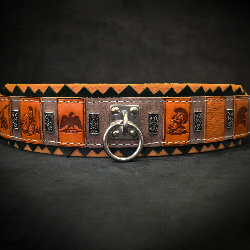 Leather Dog Collar – SPQR Style
