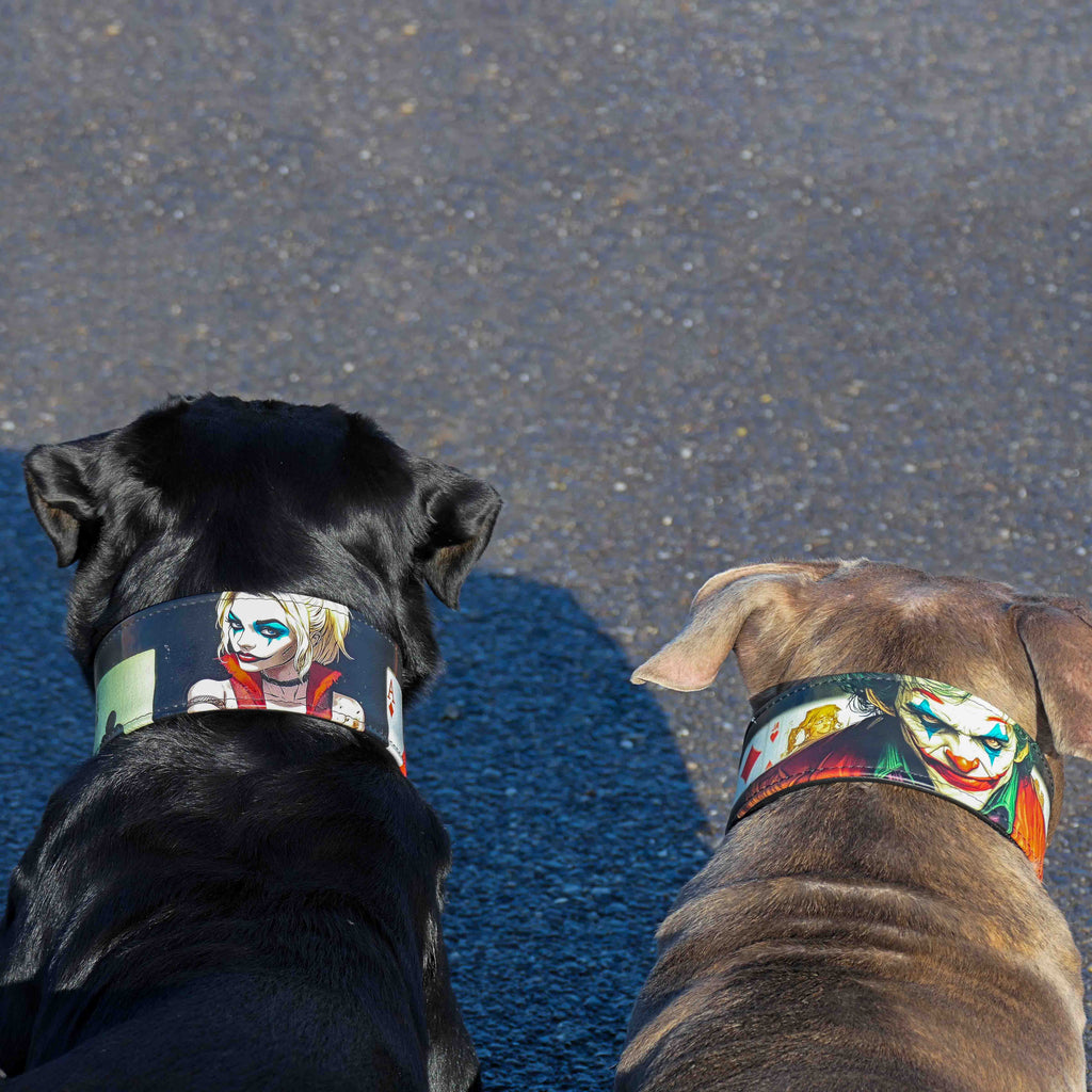 Leather Dog Collar – Joker Inspired, Halloween Edition