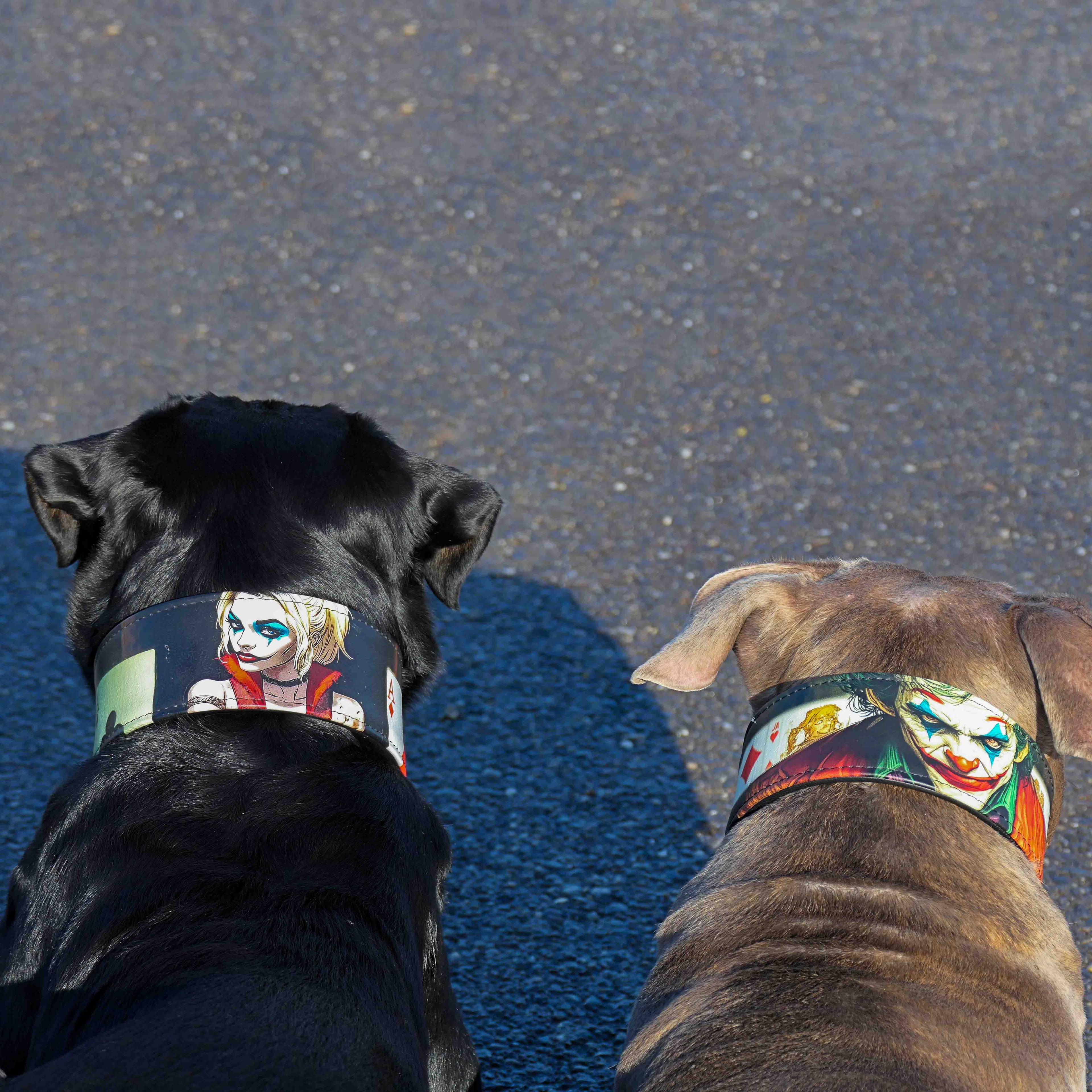 Leather Dog Collar – Joker Inspired, Halloween Edition
