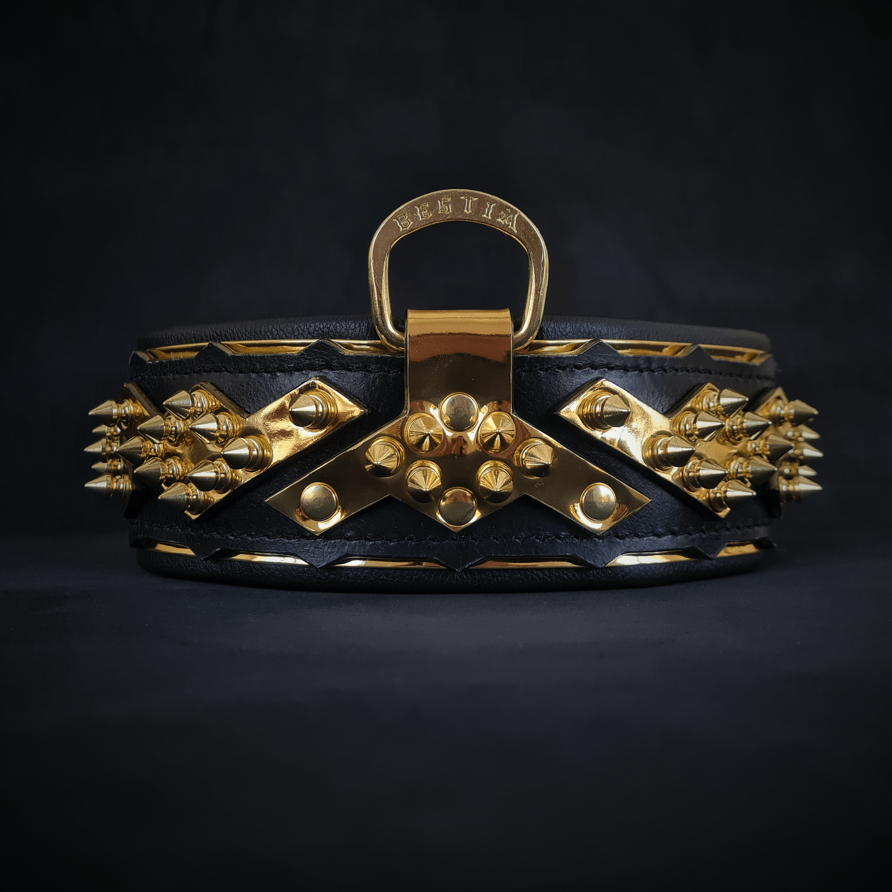 Spiked Leather Dog Collar – Midas, Gold Hardware