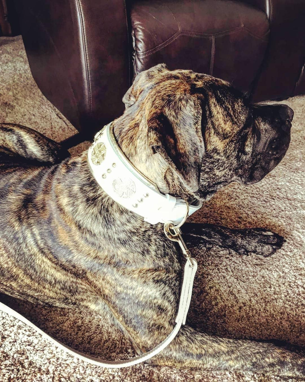 Leather Dog Leash – "Maximus", White & Gold | 90 cm