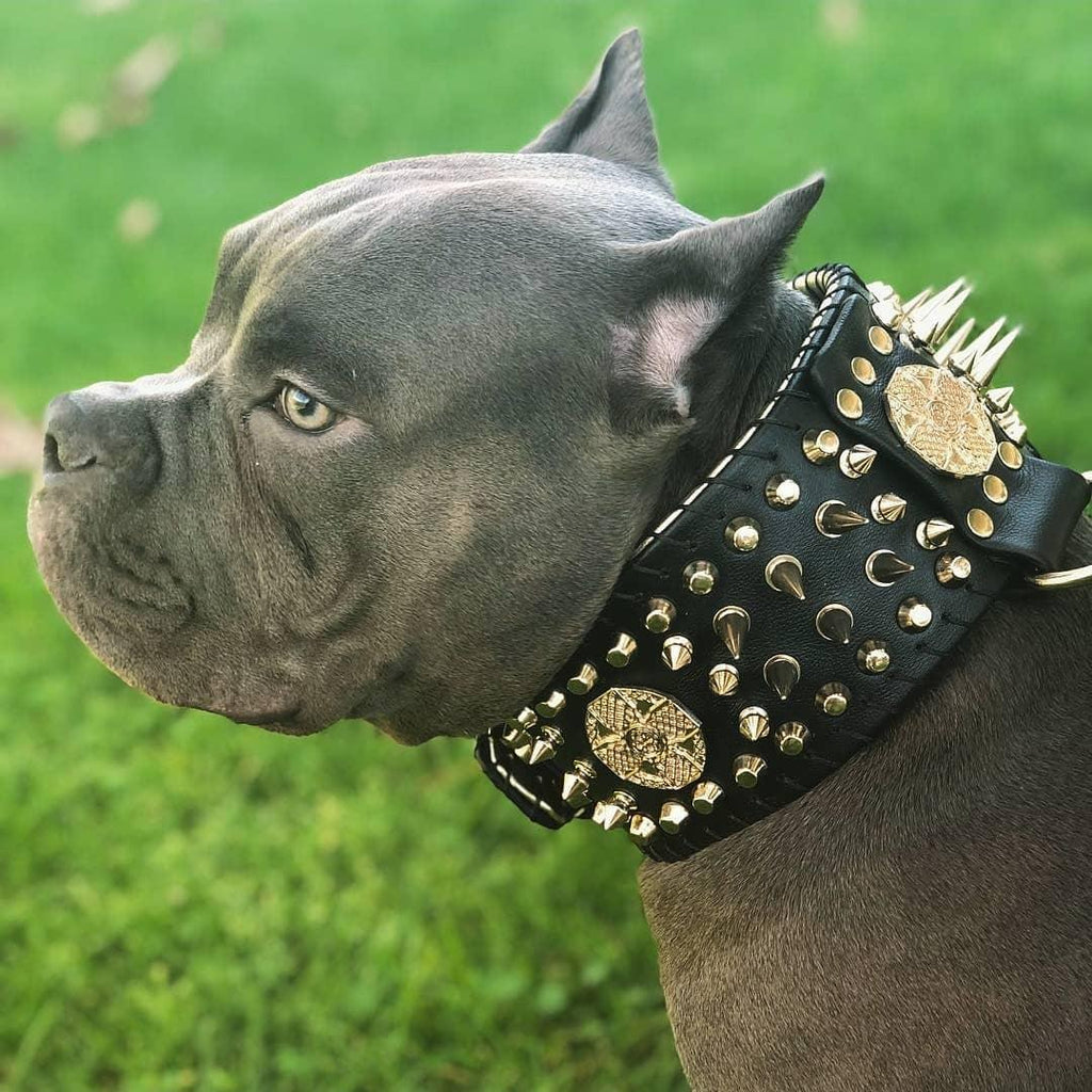 Imperium Wide Spiked Dog Collar | Hand-Stitched | Bestia