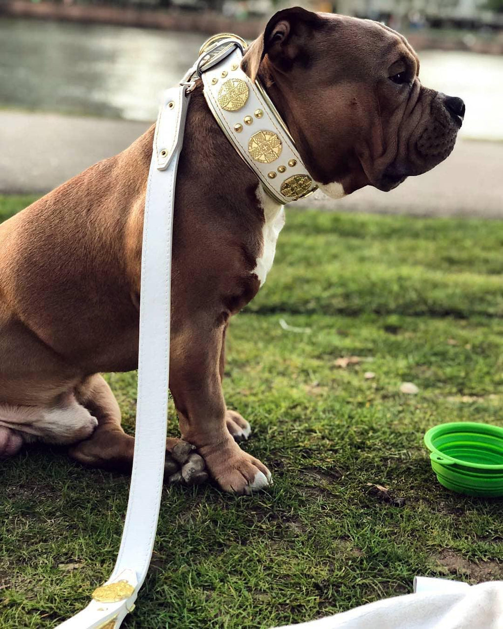 Leather Dog Leash – "Maximus", White & Gold | 90 cm