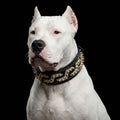 Luxury Leather Dog Collar – Platinum Style