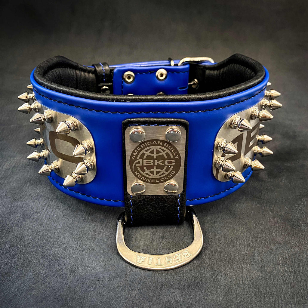Leather Dog Collar – "ABKC", Spiked, American Bully Kennel Club
