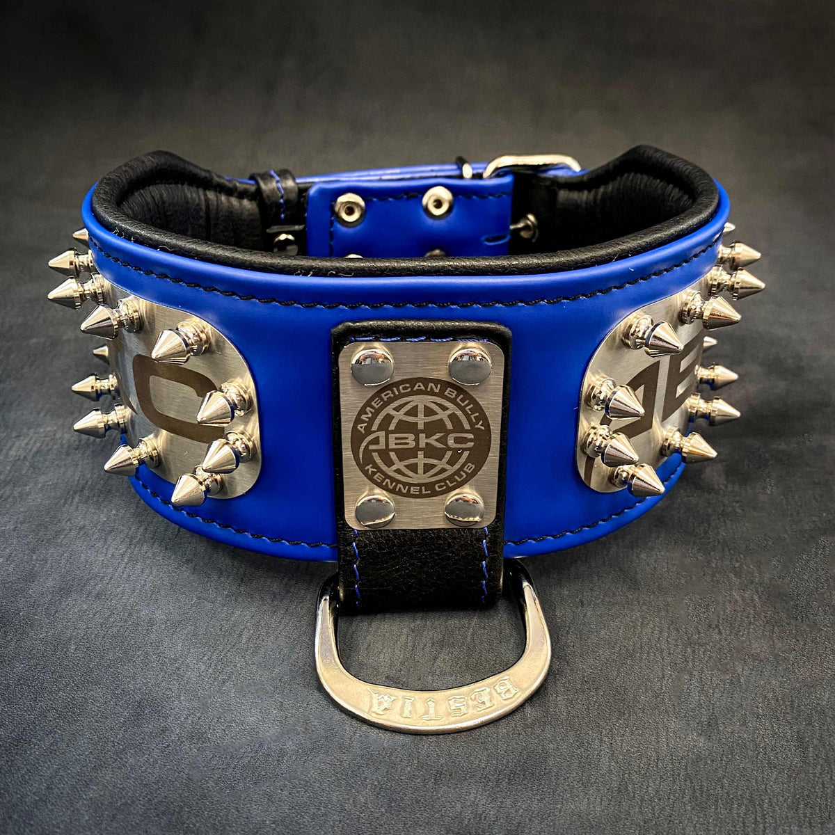 Leather Dog Collar – "ABKC", Spiked, American Bully Kennel Club