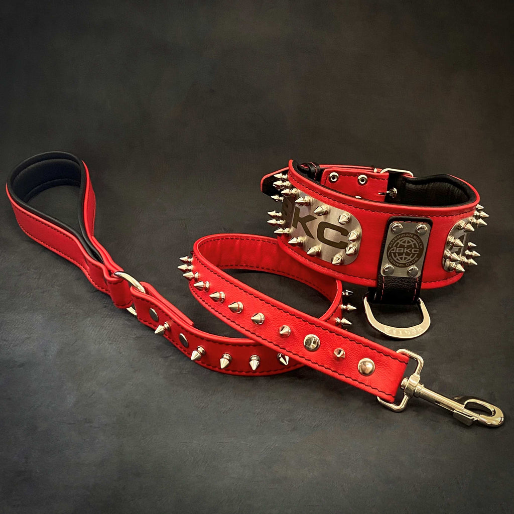 Leather Dog Collar – "ABKC", Spiked, American Bully Kennel Club