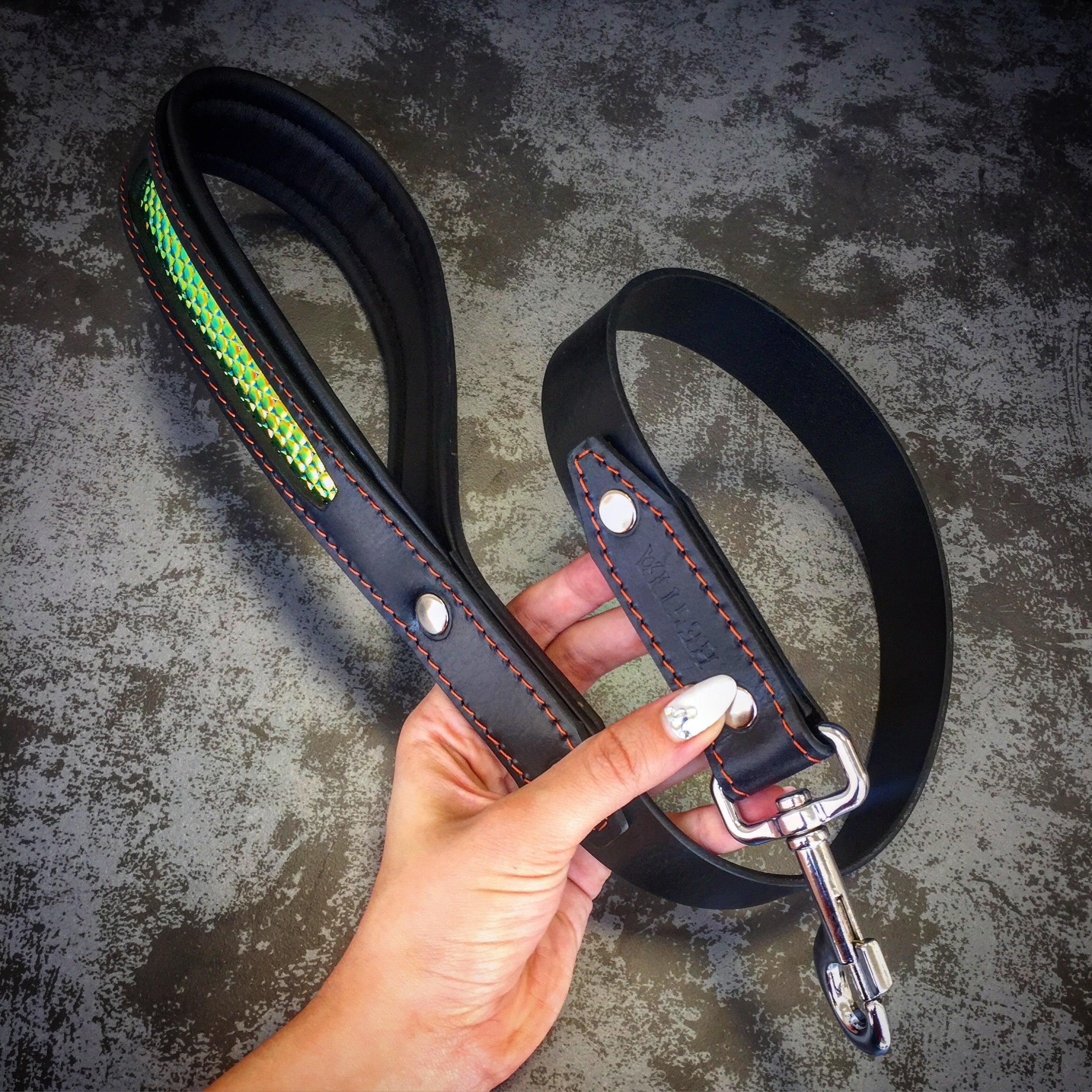 Fashion Leather Dog Collar – D’Albertis Style