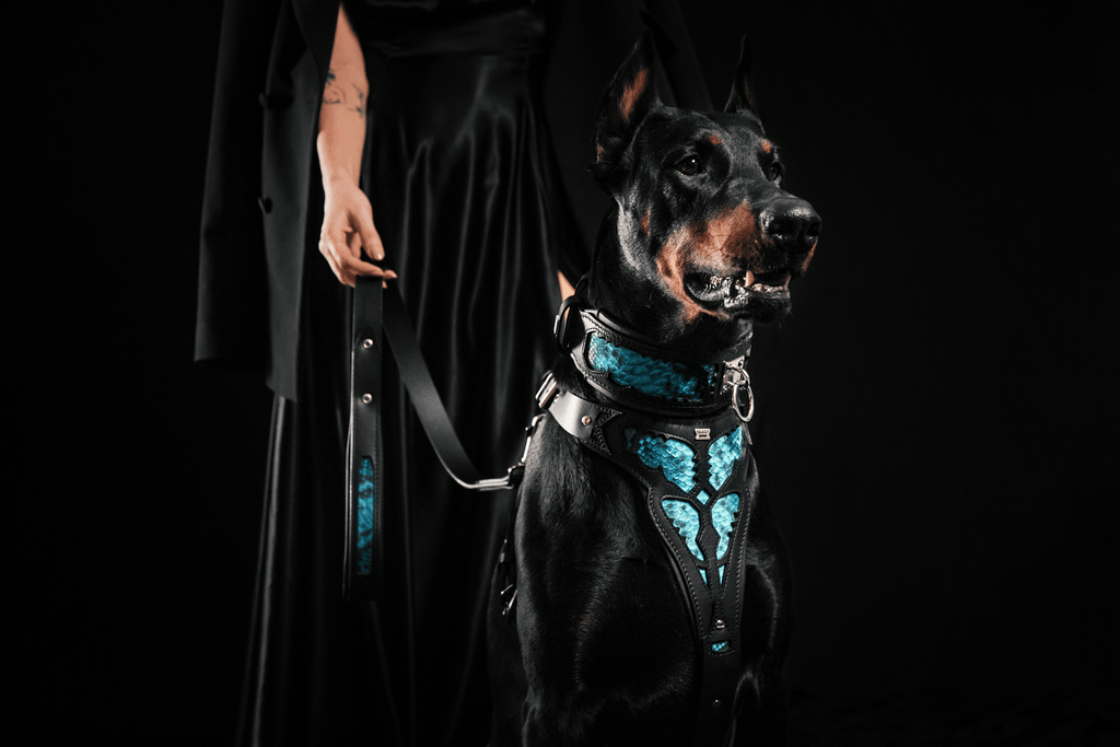 Python-Embossed Leather Dog Collar – Morelia