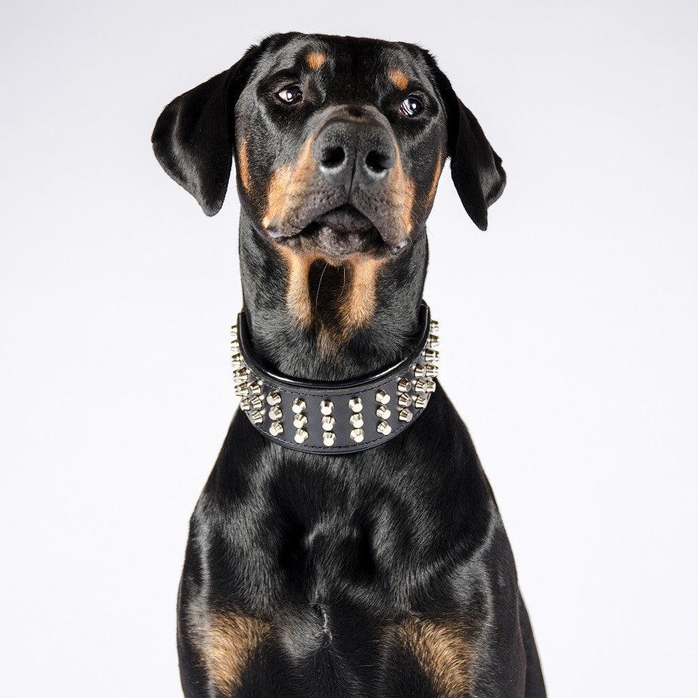 Studded Leather Dog Collar – Stud Style