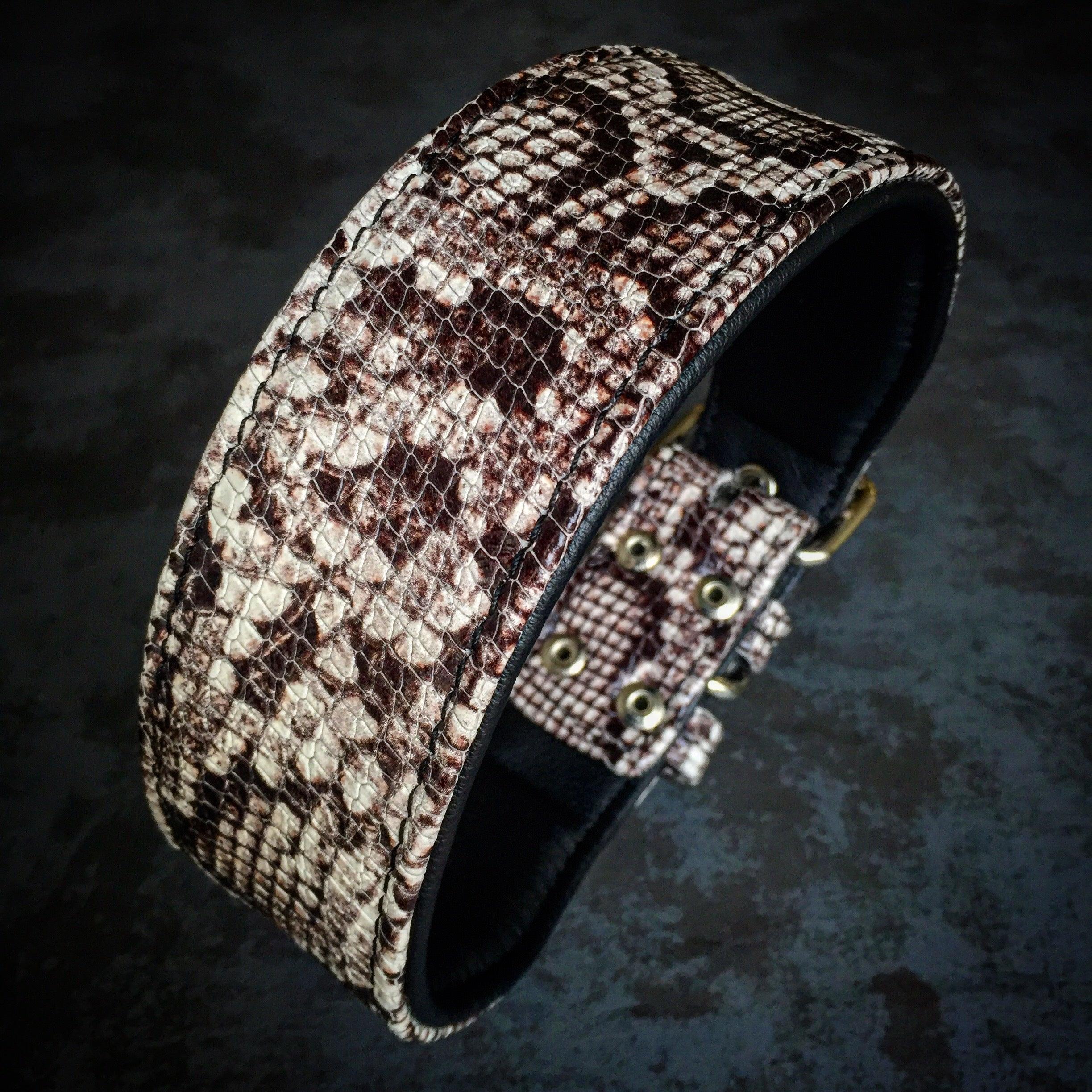 Python-Embossed Leather Dog Collar – Rock Python
