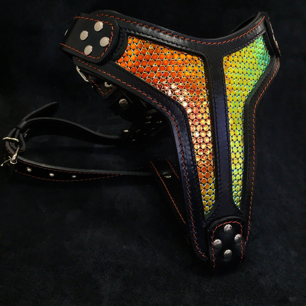 "D'Albertis" Handmade Leather Dog Harness – Iridescent Scale | M, L/XL & XXL