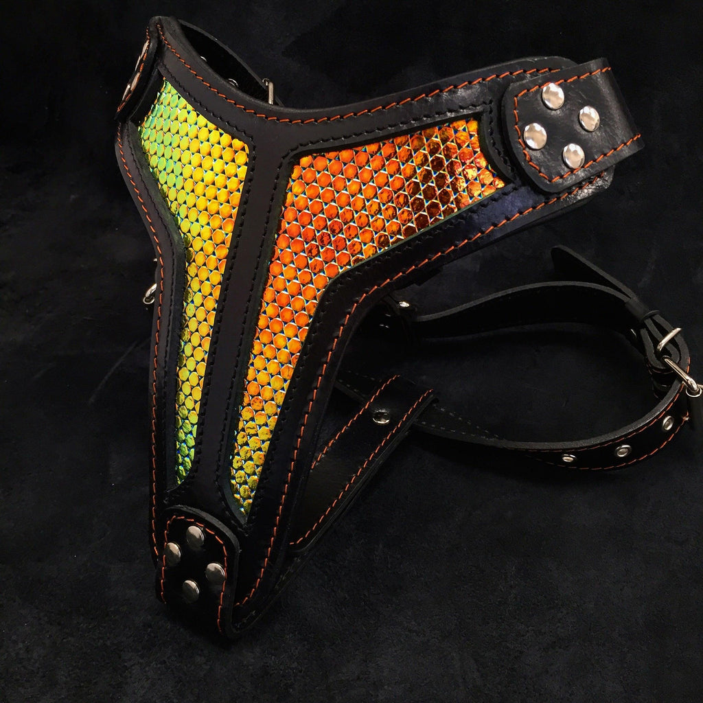 "D'Albertis" Handmade Leather Dog Harness – Iridescent Scale | M, L/XL & XXL