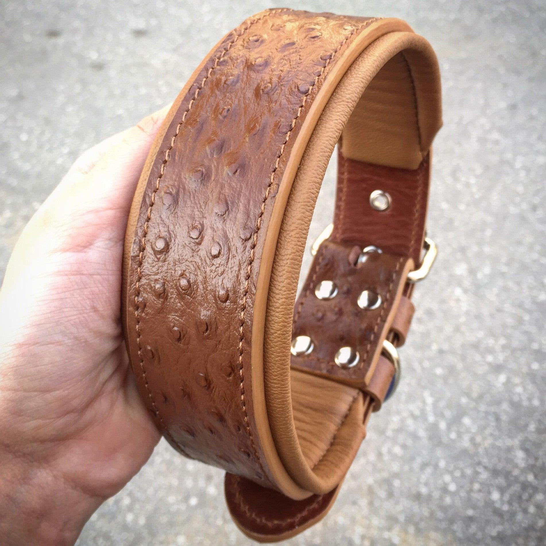 Ostrich-Embossed Leather Dog Collar – Limited Edition