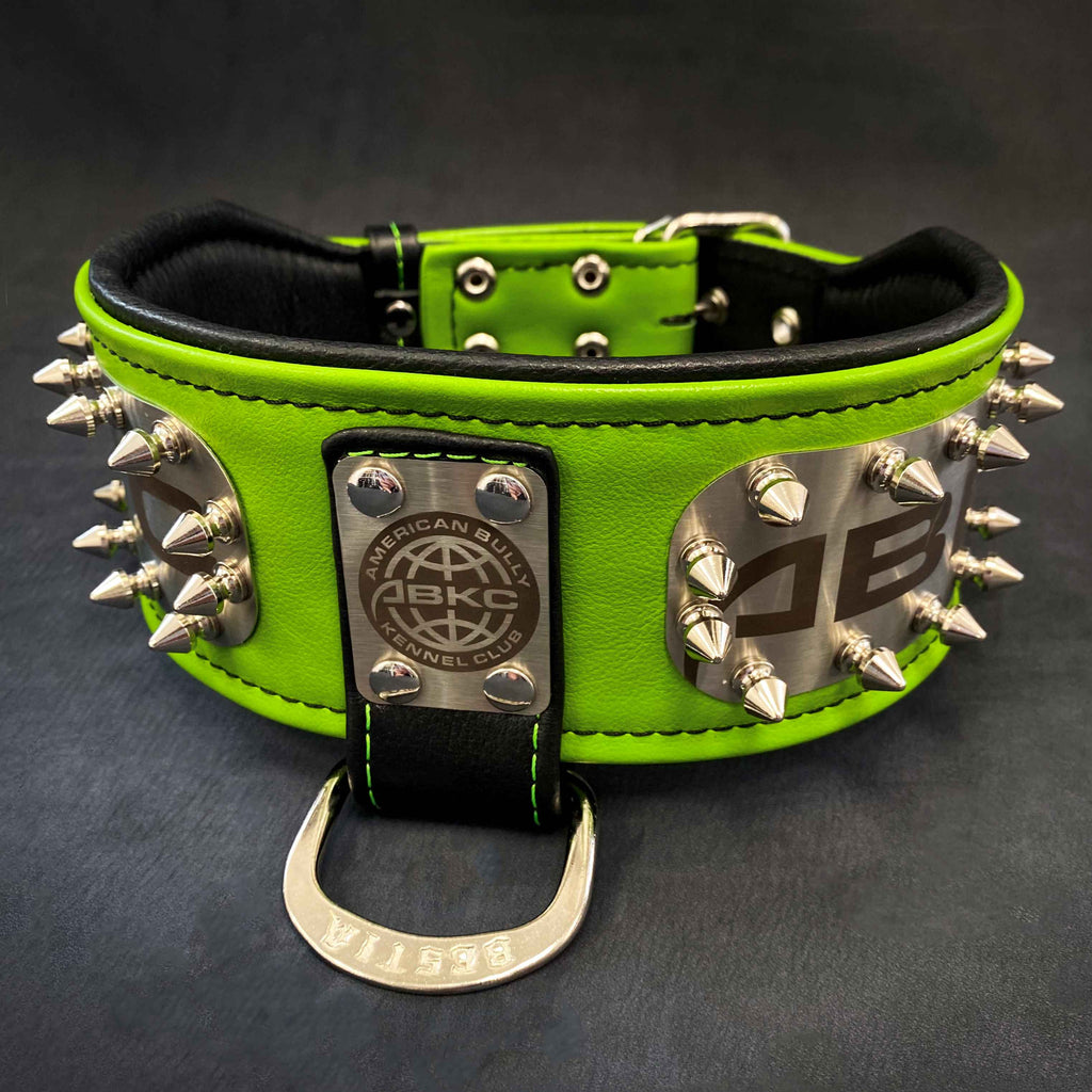 Leather Dog Collar – "ABKC", Spiked, American Bully Kennel Club