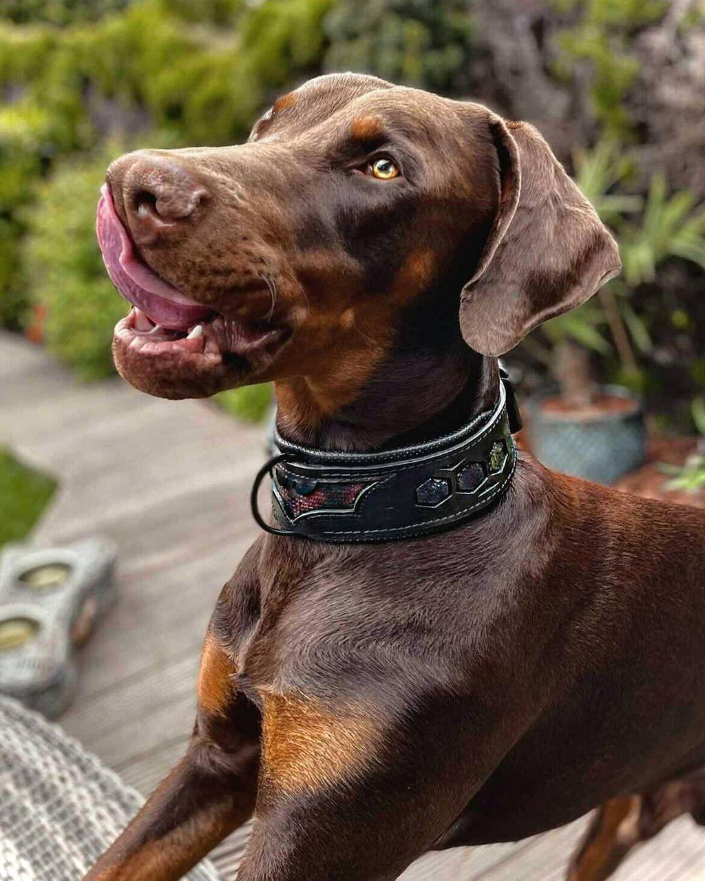Wide Leather Dog Collar – Batman Style