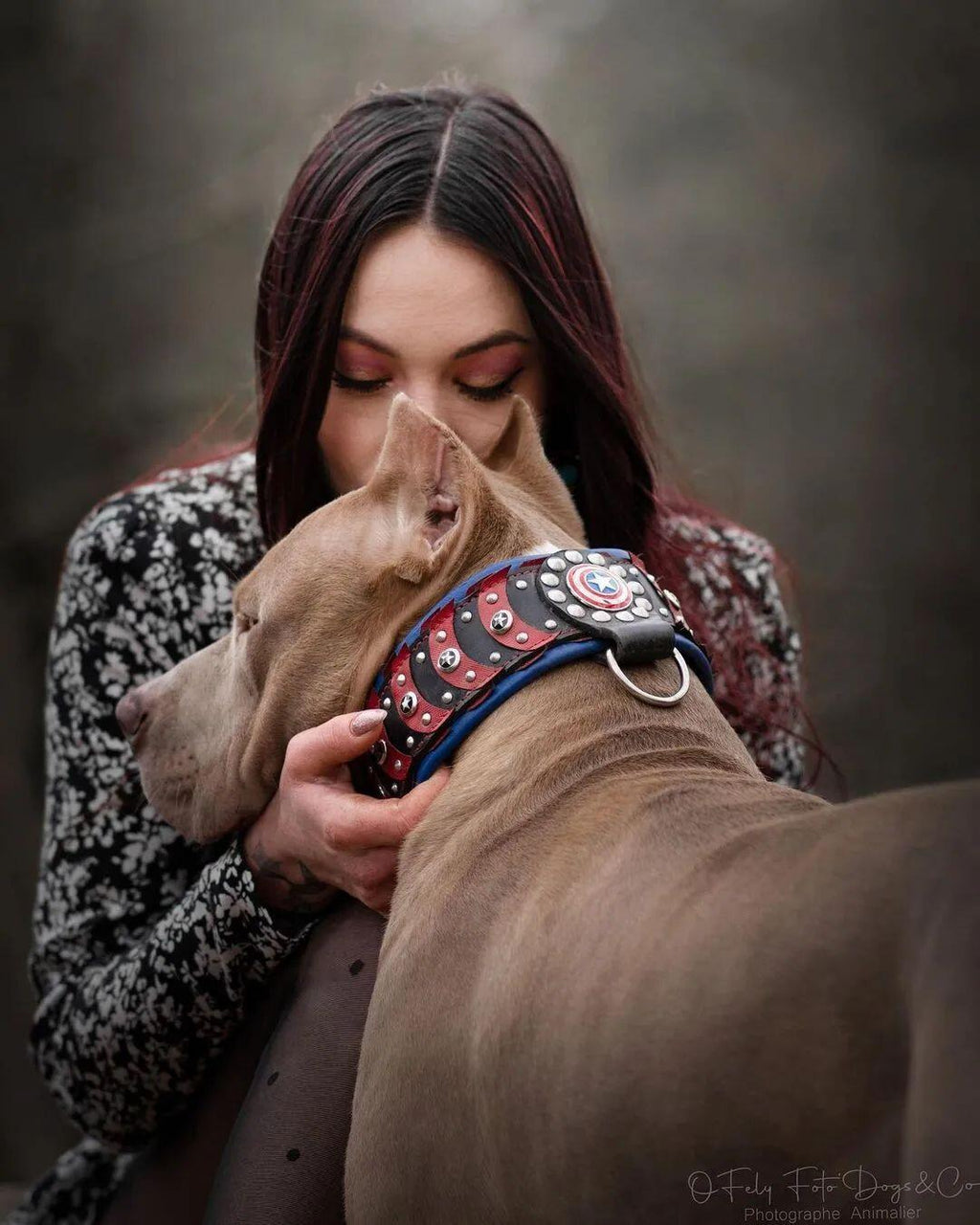 Leather Dog Collar – Captain America Inspired, Star Rivets