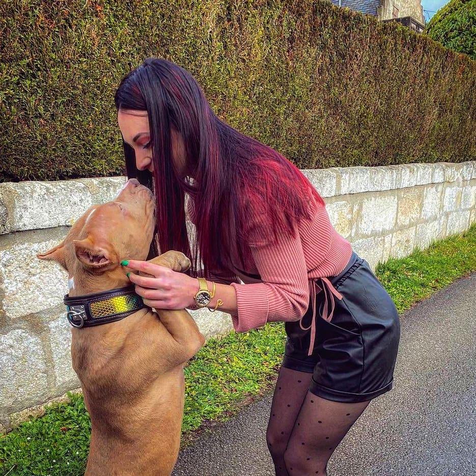 Fashion Leather Dog Collar – D’Albertis Style