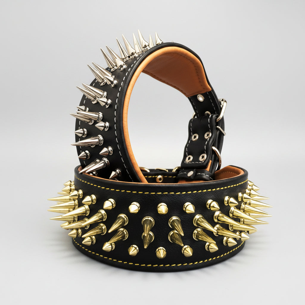 The "Big Boy" collar for Bully Dogs