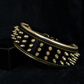 Leather Dog Collar – Gold Giant, Gold Hardware