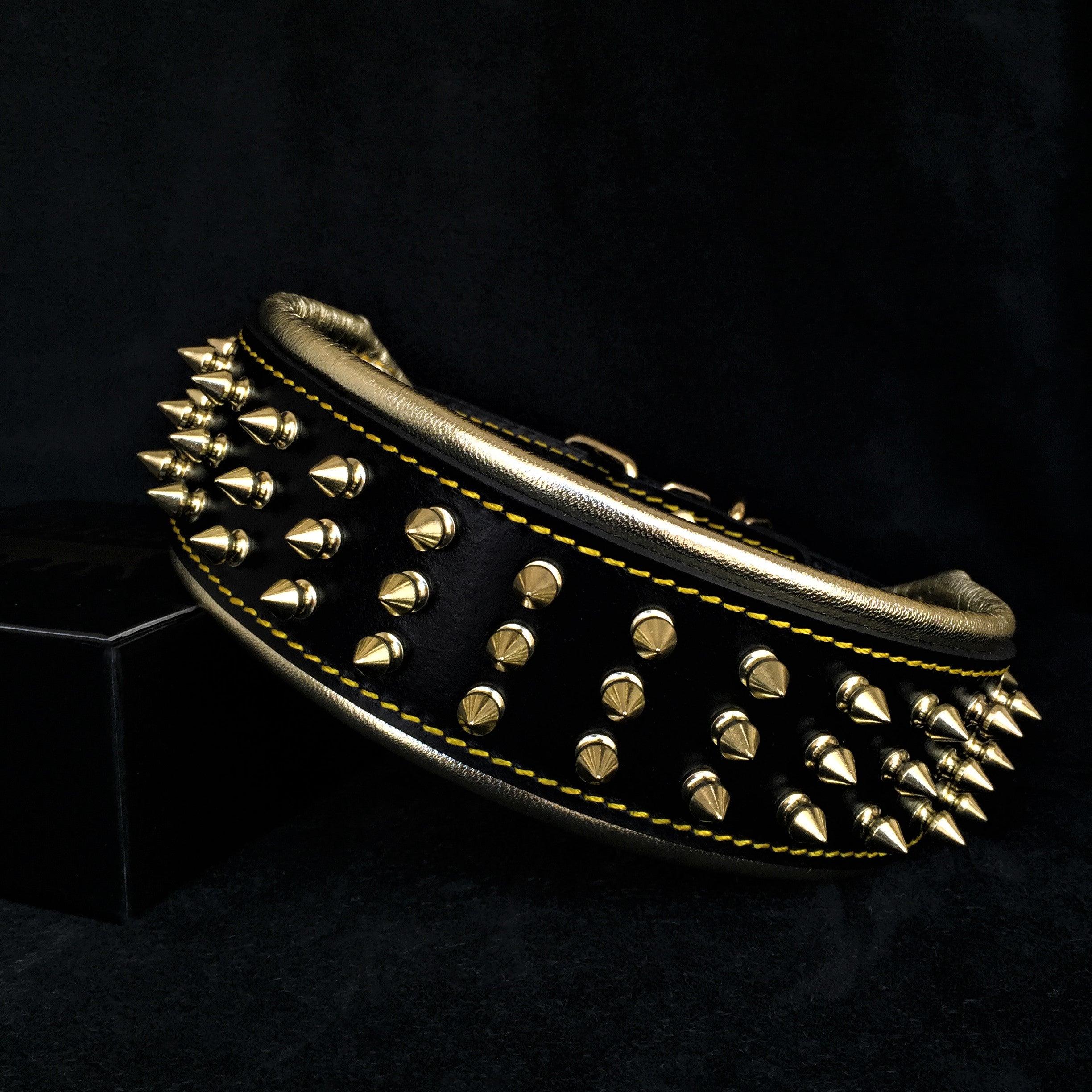 Leather Dog Collar – Gold Giant, Gold Hardware