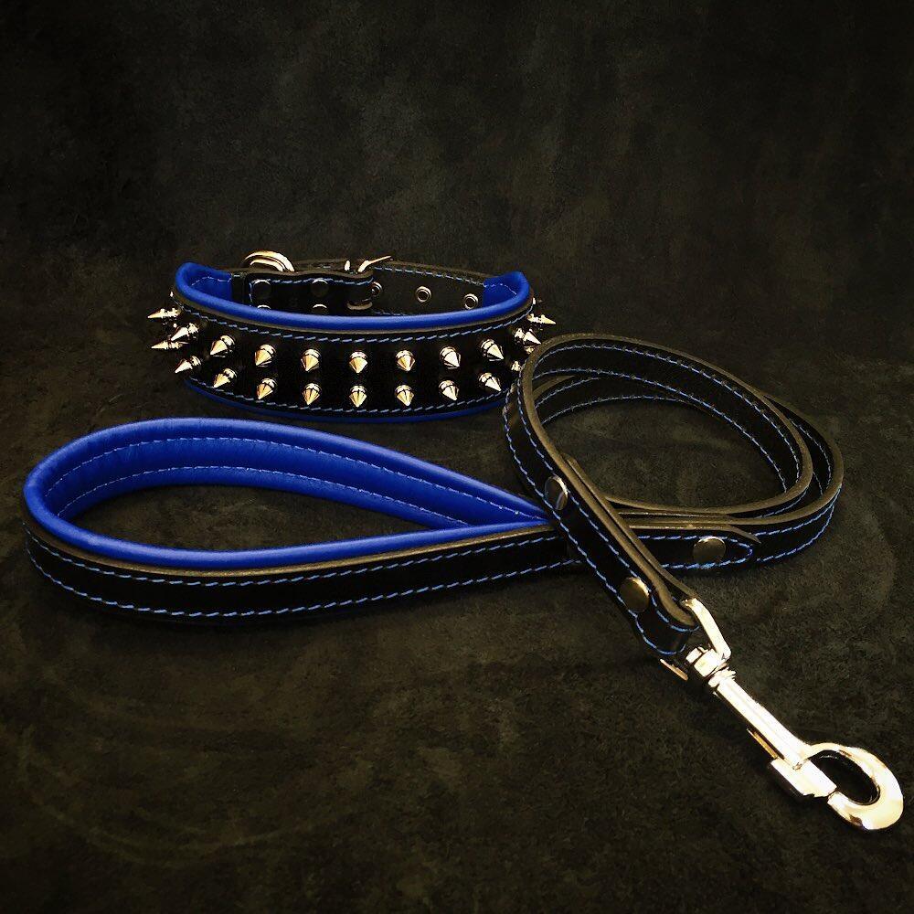 Leather Dog Collar & Leash Set – Frenchie, Blue