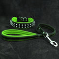 Leather Dog Collar & Leash Set – Frenchie, Green