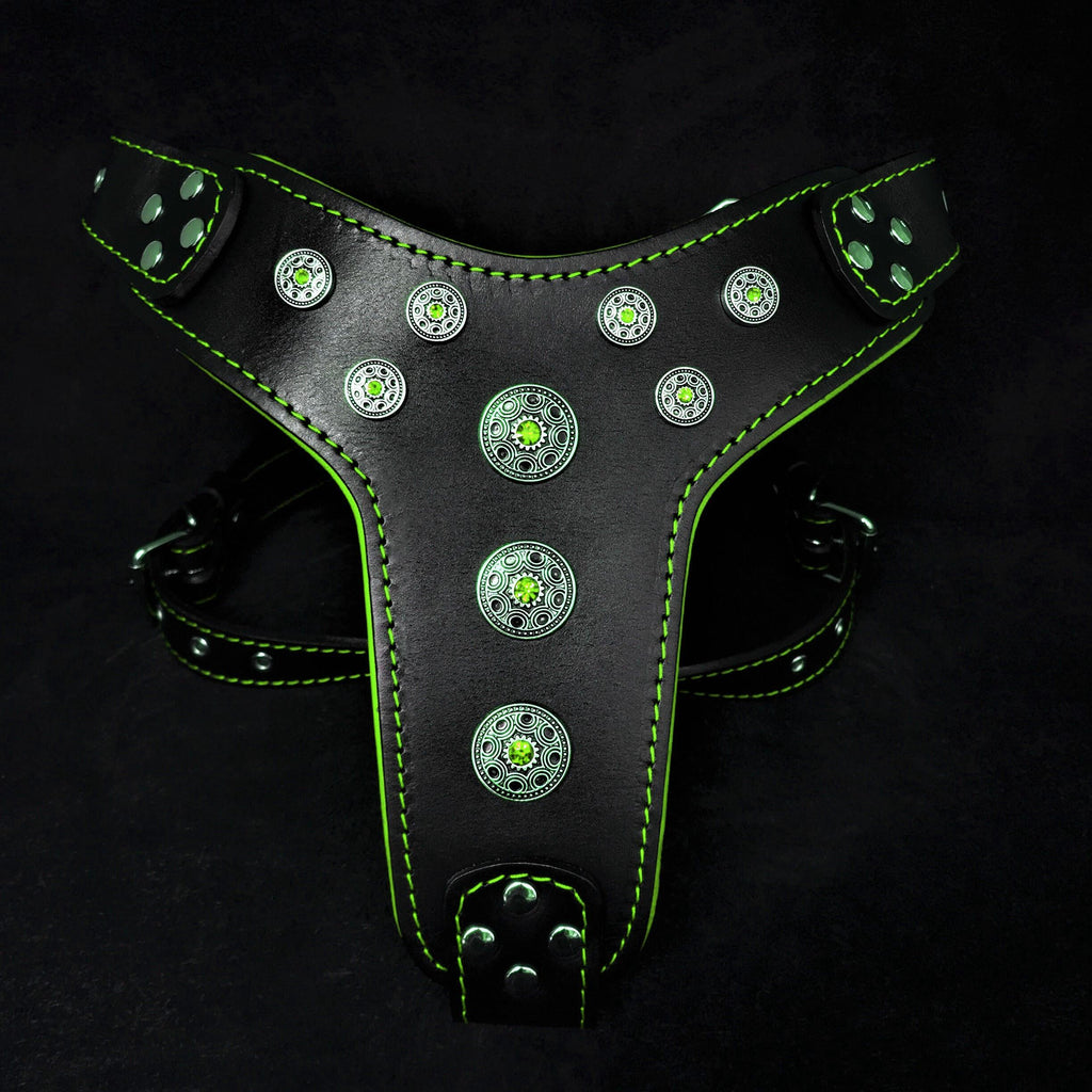 Bijou Leather Dog Harness – Black & Green | Handcrafted by Bestia