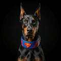 Leather Dog Collar – Superdog, Superman Inspired, Blue