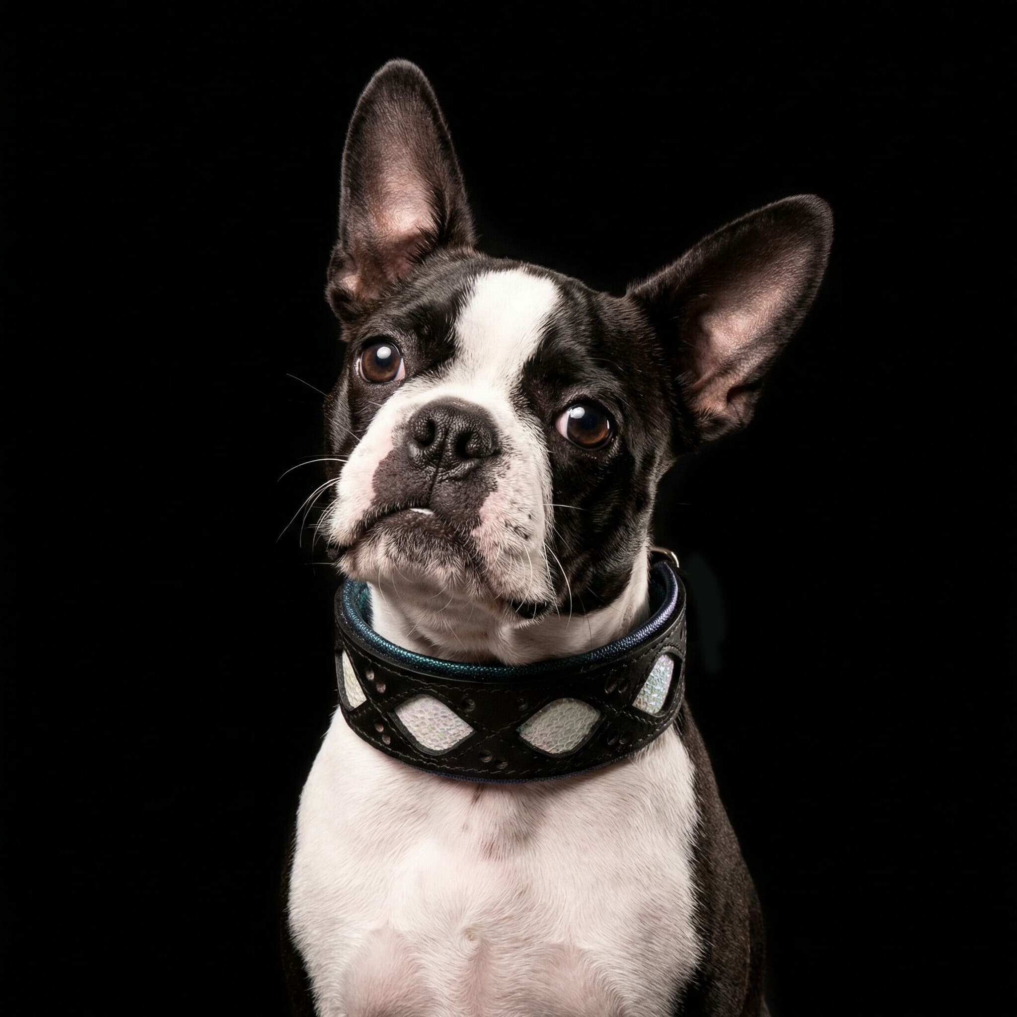 The Avatar Collar by Bestia