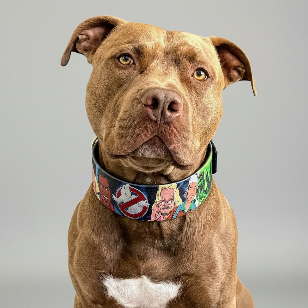 The “Ghostbuster” collar -LIMITED