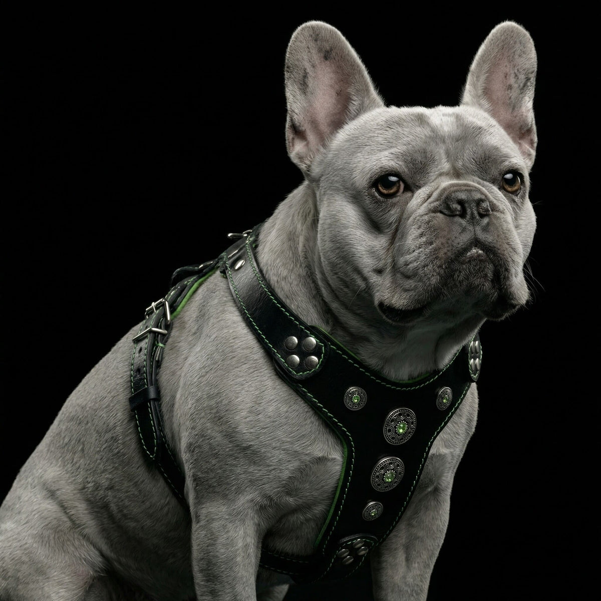 "Bijou" Handmade Leather Dog Harness – Black & Green | S & M | by Bestia Dog Gear