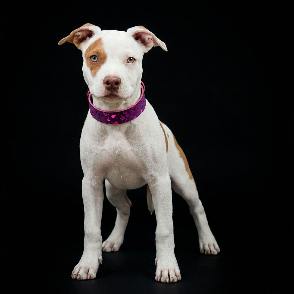 Leather Puppy Collar – Viola Drops Style