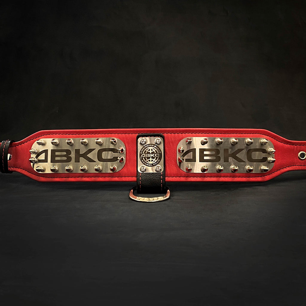 Leather Dog Collar – "ABKC", Spiked, American Bully Kennel Club