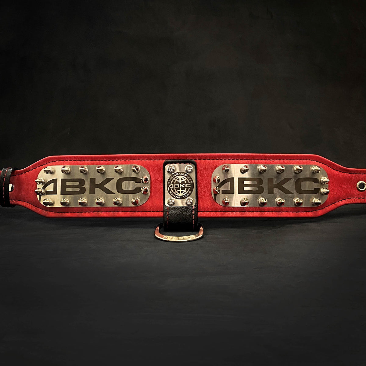 Leather Dog Collar – "ABKC", Spiked, American Bully Kennel Club